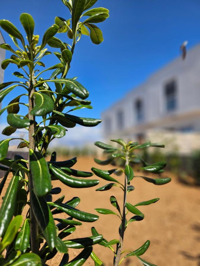 Bura House Villa Повляна Екстериор снимка