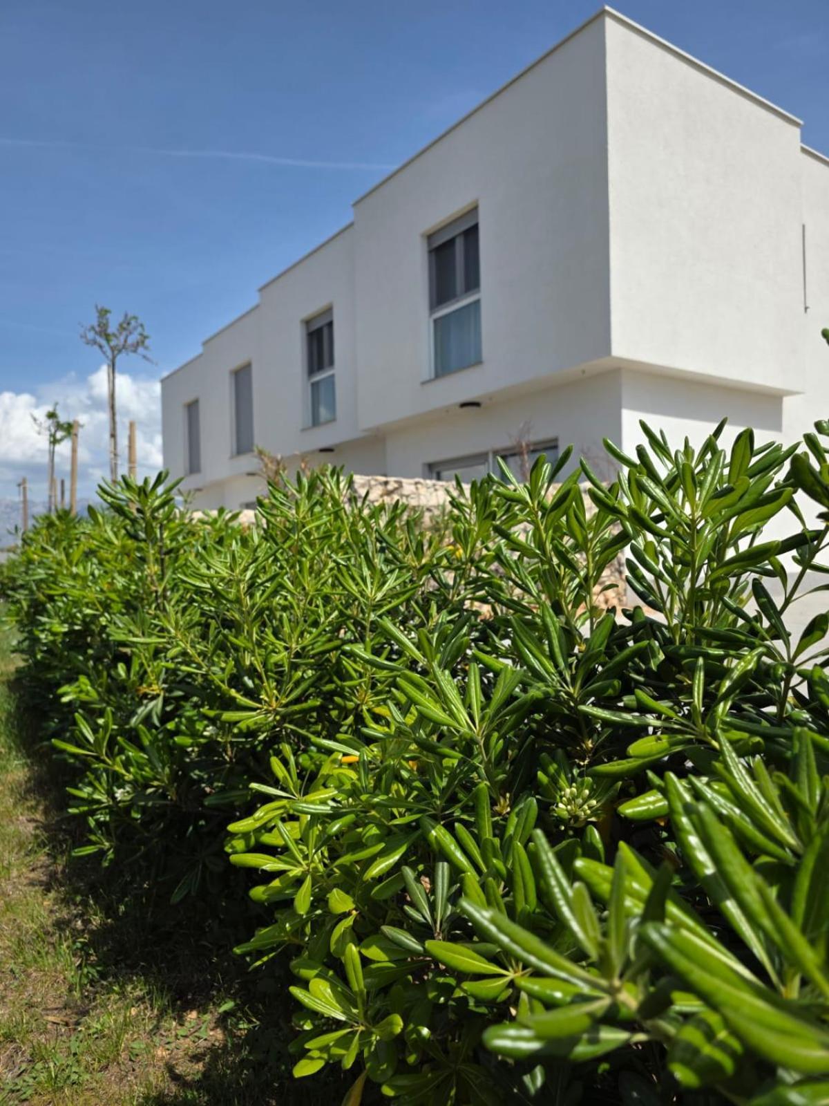 Bura House Villa Повляна Екстериор снимка